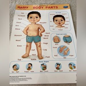 Laminated My body poster.